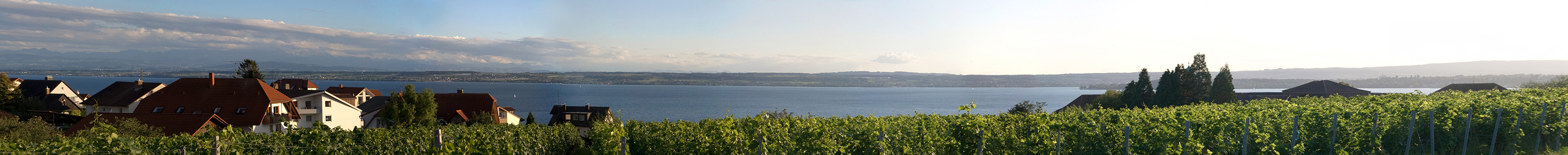 Panoramablick ber den Bodensee