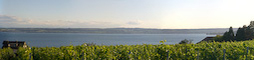 Panoramablick ber den Bodensee